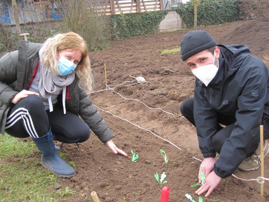 „AGGer“ – Das Gymnasium Gernsheim wird zur „Ackerschule“